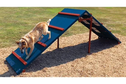 decline for dog