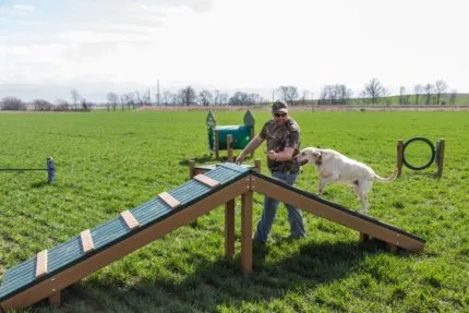 dog-running-up-incline