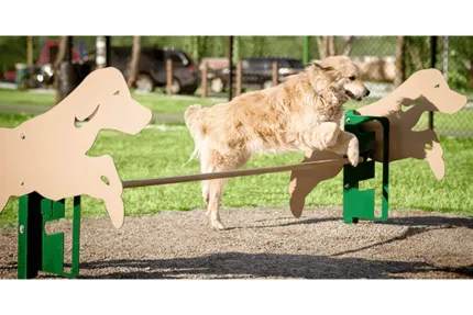 pole jumping for dog