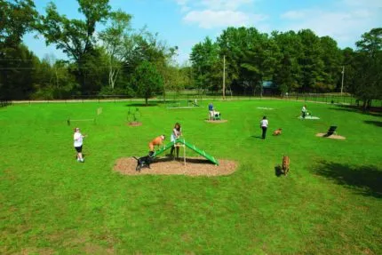 fenced-in-dog-park-simulation