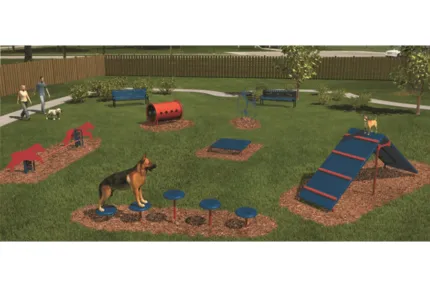 dog-park-simulation-red-and-blue