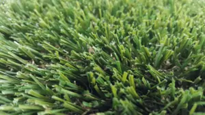 Grass-Close-up-e1538667204718